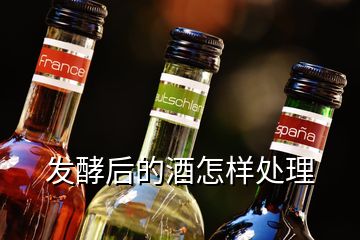 發酵后的酒怎樣處理