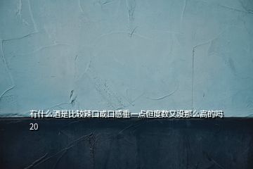 有什么酒是比較辣口或口感重一點但度數又沒那么高的嗎20