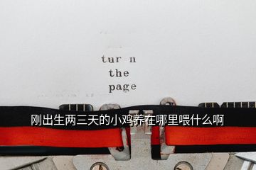 剛出生兩三天的小雞養在哪里喂什么啊