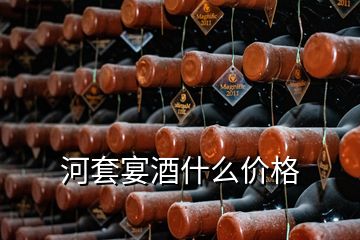 河套宴酒什么價(jià)格