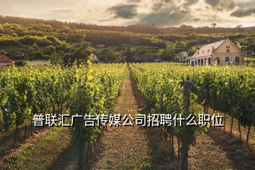 普聯匯廣告傳媒公司招聘什么職位
