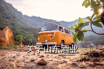 關于山東酒業