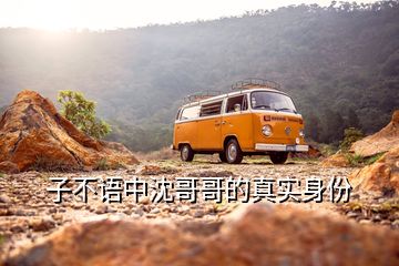 子不語(yǔ)中沈哥哥的真實(shí)身份