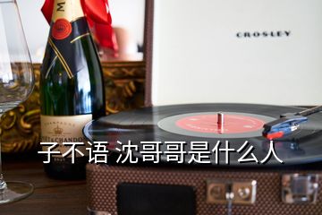 子不語(yǔ) 沈哥哥是什么人