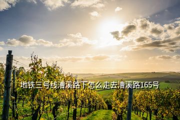 地鐵三號線漕溪路下怎么走去漕溪路165號