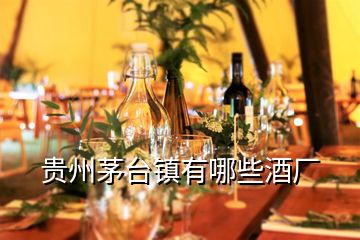 貴州茅臺鎮有哪些酒廠