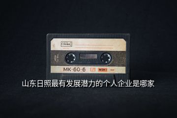 山東日照最有發展潛力的個人企業是哪家