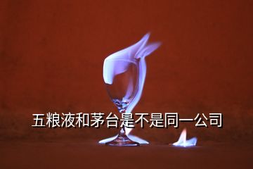 五糧液和茅臺是不是同一公司