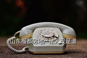山東榴都房地產法人現(xiàn)是誰