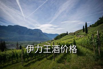 伊力王酒價格