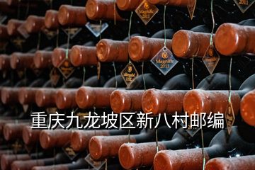 重慶九龍坡區新八村郵編