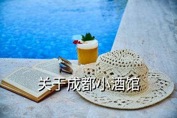 關于成都小酒館
