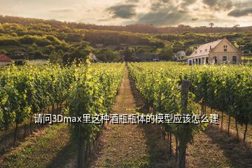 請問3Dmax里這種酒瓶瓶體的模型應該怎么建