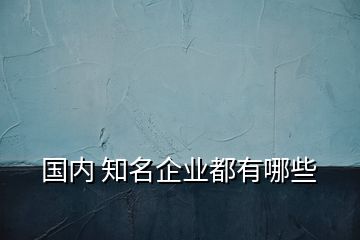 國內 知名企業都有哪些