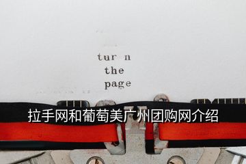 拉手網和葡萄美廣州團購網介紹