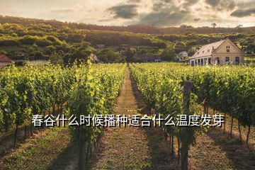 春谷什么時候播種適合什么溫度發芽