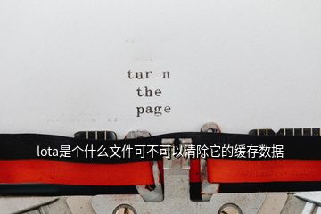 lota是個什么文件可不可以清除它的緩存數據