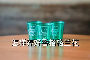 怎樣養好香格格蘭花