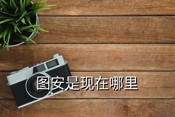 圖安是現在哪里