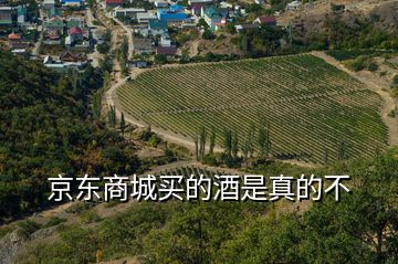 京東商城買(mǎi)的酒是真的不