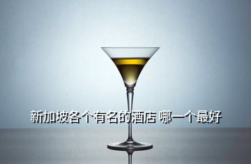 新加坡各個有名的酒店 哪一個最好