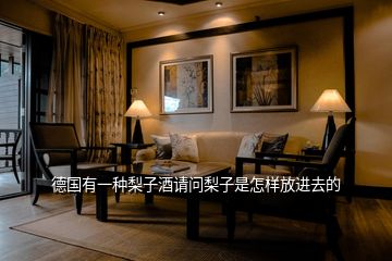 德國有一種梨子酒請問梨子是怎樣放進(jìn)去的