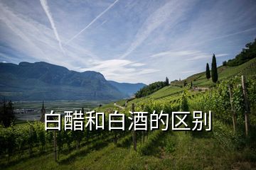 白醋和白酒的區別