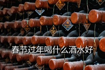 春節過年喝什么酒水好