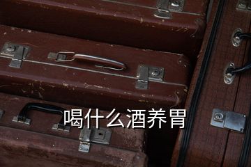 喝什么酒養胃