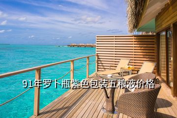 91年羅卜瓶紫色包裝五糧液價(jià)格