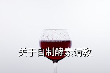 關于自制酵素請教