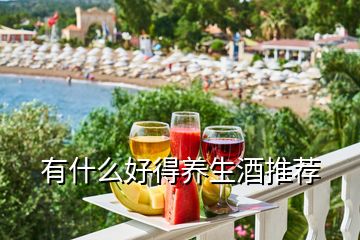 有什么好得養生酒推薦