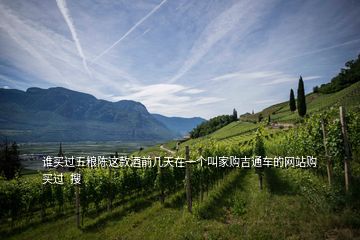 誰買過五糧陳這款酒前幾天在一個叫家購吉通車的網站購買過  搜
