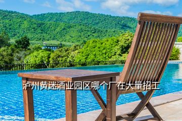 瀘州黃迷酒業(yè)園區(qū)哪個(gè)廠在大量招工