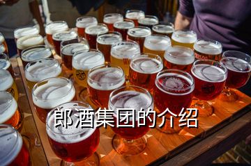 郎酒集團的介紹