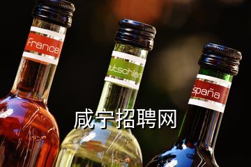 咸寧招聘網