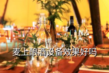 麥上釀酒設備效果好嗎