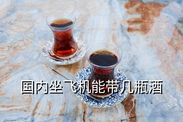 國內坐飛機能帶幾瓶酒