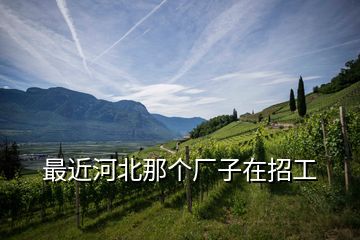最近河北那個廠子在招工