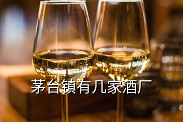 茅臺鎮有幾家酒廠