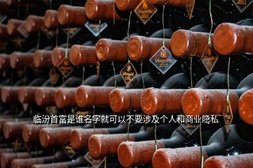 臨汾首富是誰名字就可以不要涉及個人和商業(yè)隱私