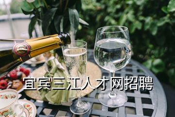 宜賓三江人才網招聘