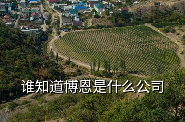 誰知道博恩是什么公司