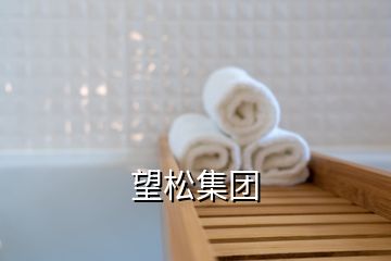 望松集團