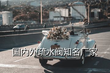 國內外疏水閥知名廠家