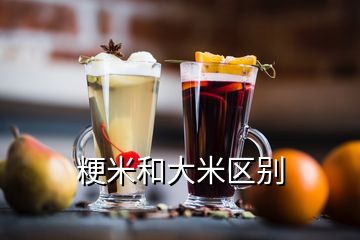 粳米和大米區別