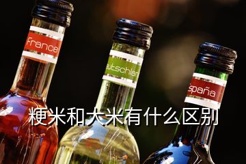 粳米和大米有什么區別