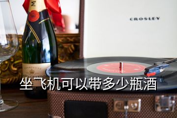坐飛機可以帶多少瓶酒