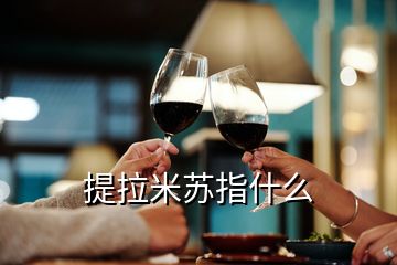 提拉米蘇指什么