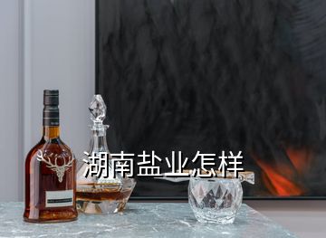 湖南鹽業怎樣